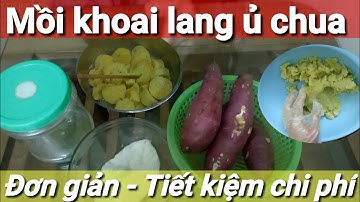 Chia sẻ cách làm mồi khoai lang ủ chua câu các loại cá trôi,trắm,chép,diếc,mè....đơn giản,dễ làm