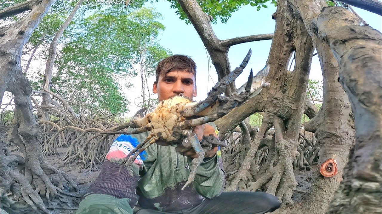PEGAMOS E PREPARAMOS ALI MESMO NO MANGUE CAMARÃO GIGANTE !