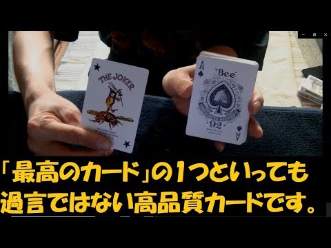 カジノ シークレット 詐欺 カジノ シークレット 詐欺