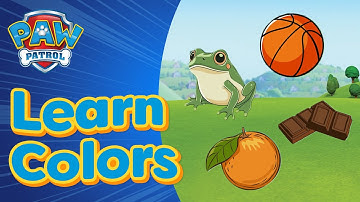 Learn Colors with the PAW Patrol Pups | Educational Videos for Preschoolers!