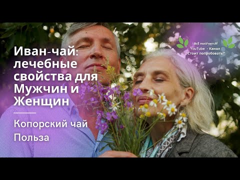 Иван-чай польза для Мужчин и Женщин | Иван Чай польза и вред