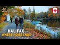 Nova Scotia Nature Walk 4K - Secret Path to Lake Micmac 🍁