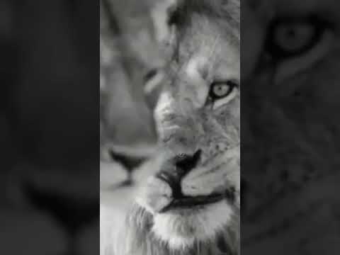 العمر ما يسوى اذا اخسرك