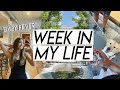 WEEK IN MY LIFE | baby fever, looking at houses in Dallas, setting healthy habits!