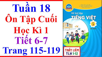 Vở Bài Tập Tiếng Việt Lớp 5 Tuần 18 Ôn Tập Cuối Học Kì 1 Trang 115 - 119 Chân Trời Sáng Tạo tiết 6 7