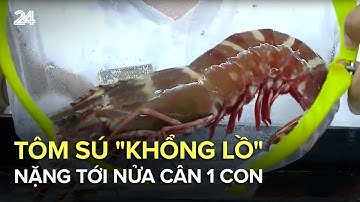 Tôm sú "khổng lồ" nặng tới nửa cân 1 con | VTV24