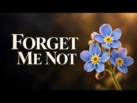 Do You Still Remember Me in Heaven? — A Song for Someone You Miss