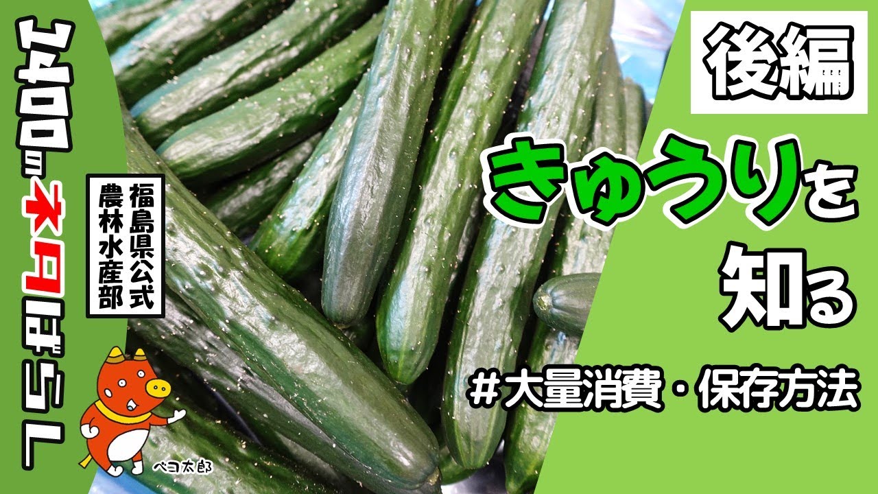 All About Cucumbers (Part 2): #HowToUseUpAndStore - YouTube