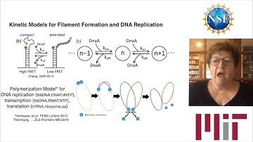 Genome Architecture Workshop