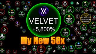 Velvet Token + Other Explosive Cryptos
