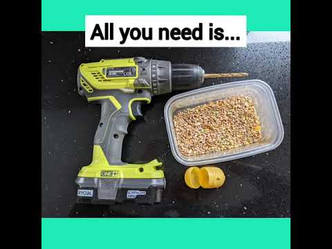 Keeping your chickens