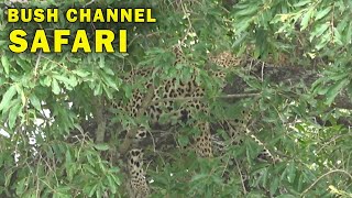 Safari Adventures Hiking & Camping Tour