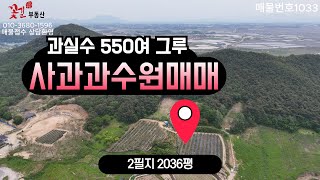 부안군 진서면 진서리 사과과수원 과실수포함 토지매매 완주꽃길부동산