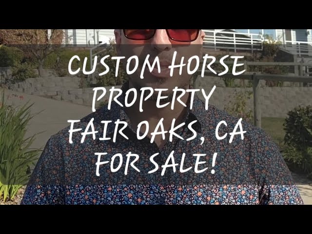 Luxury HORSE property For Sale