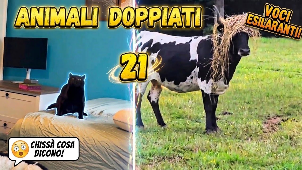 COSA dicono DAVVERO gli Animali ?🤣| Animali Divertenti Doppiati #21