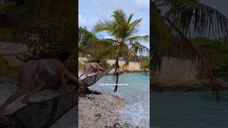 Spotts Beach, Grand Cayman: a Turtle Nesting Ground and Top Snorkel Spot