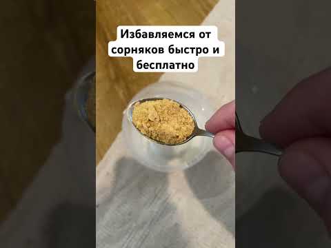Избавляемся от сорняков