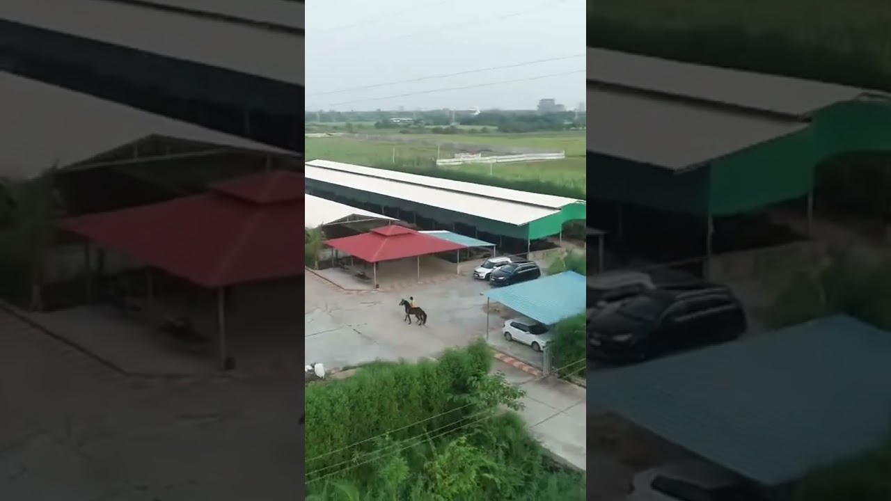 Girdhara dairy farm Surat Gujarat