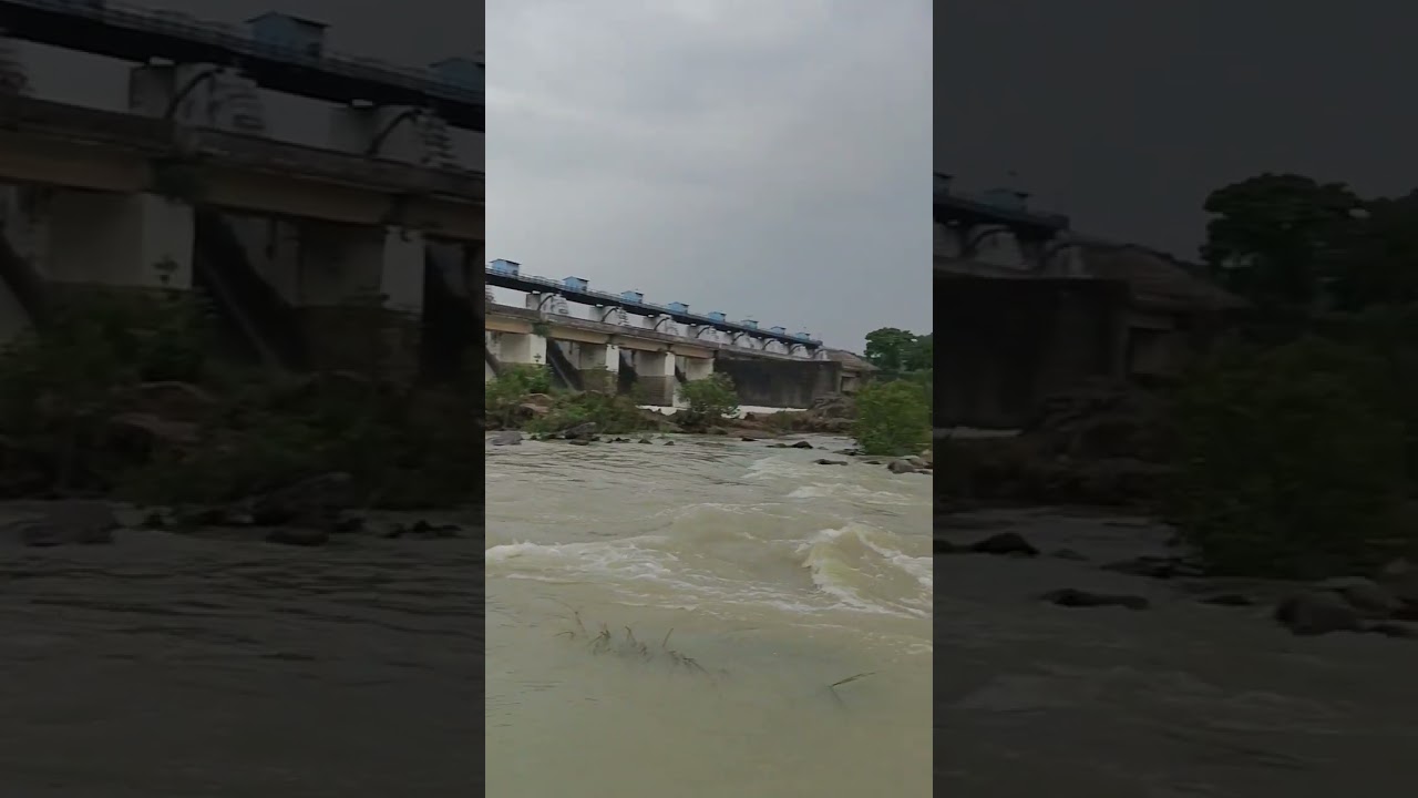 Kotra Dam (Pujaritola Dharan)#shorts #youtubeshorts #water #waterdam