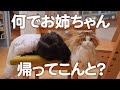 雨の日、小4長女が帰ってこない