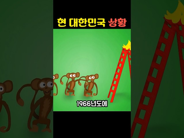 현 대한민국 상황 ㄷㄷ;;