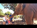 НЕОЖИДАННО! Нашли кусочек Тайланда в Зоопарке на Кипре // Pafos Zoo