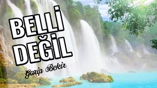 BELLİ DEĞİL - Garip Bekir / En Güzel Unutulmayan Duygusal İlahiler Resimi