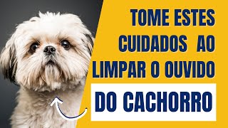Como tirar pelo do ouvido do cachorro? Quando deve ser feito? screenshot 4