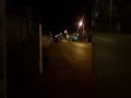 Jauria de perros atemoriza a Residencial del Bosque