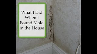 MOLD IN THE HOUSE - WHAT I DID ABOUT THE MOLD!