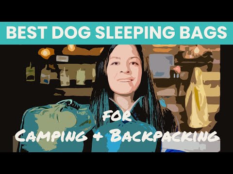 BEST Dog Sleeping