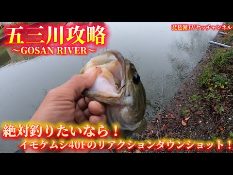 【バス釣り】五三川攻略！リアクションGAME！絶対釣りたいならリアクションダウンショット！