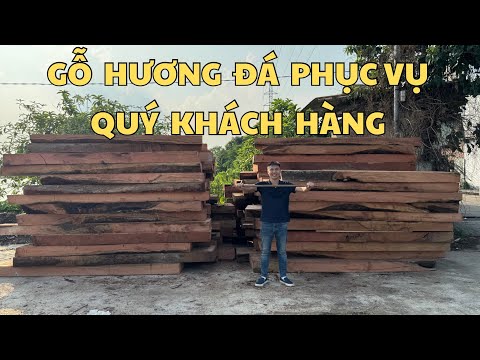 Stone Incense Wood Continues to Serve Customers | Stone Incense Wood Sofa | Modern Sofa