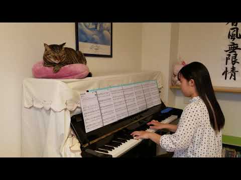 欅坂46 『黒い羊』ピアノ      ～猫と一緒～
