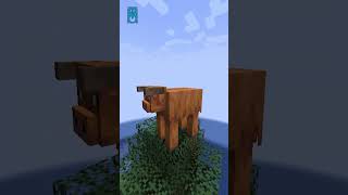 Ada 2 Sapi Baru di Minecraft Snapshot 25W05A Ini!