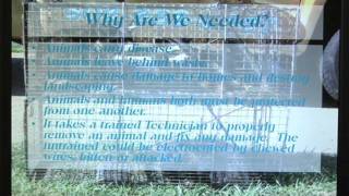A All Animal Control - What is Nusiance Wildlife Management?