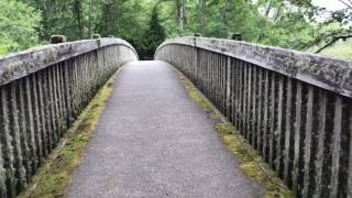 Cape Alava In Olympic National Park