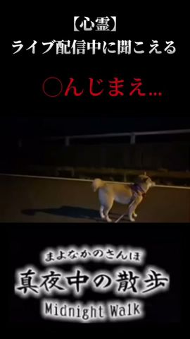 【心霊Live】見直すとはっきり聞こえていた声【閲覧注意】#shorts
