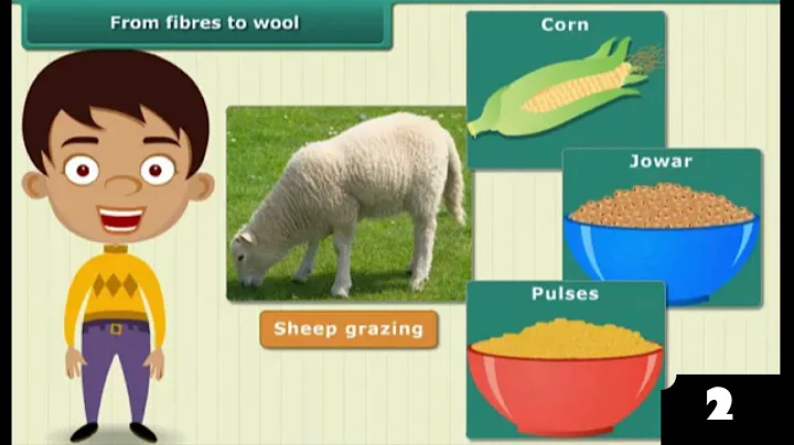 Fibre to Fabric Class 6 Science in One Shot (Chapter 3) | Class 6 Chemistry