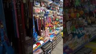 Gaziantep Petshop Kedi Kopek Baliklar Yemleri Vede Barinma Ve Temel Ihtiyaclari Youtube