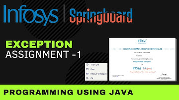Exception Assignment -1 | Programming Using Java | Infosys Springboard