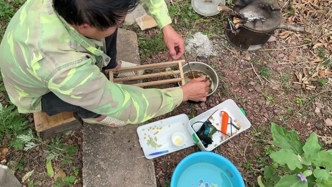 Hướng dẫn cách làm ong chúa nhân tạo 