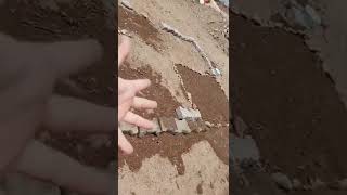 Gümüldür Sefirisardaki Ilgünüm