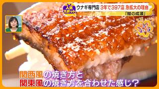 【人気スポット】ウナギ専門店３年で397店舗へ急拡大の理由とは？～鰻の成瀬～【サン！シャインクエスト】