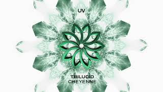 Trilucid - Cheyenne