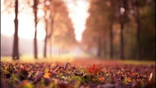 Melodic Progressive House mix Vol 91 (Lost Memories)