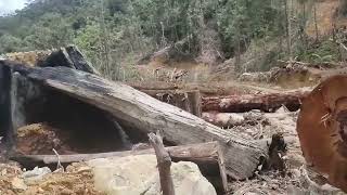 Inilah Faktor Penyebab Banjir Sumatera dan Aceh