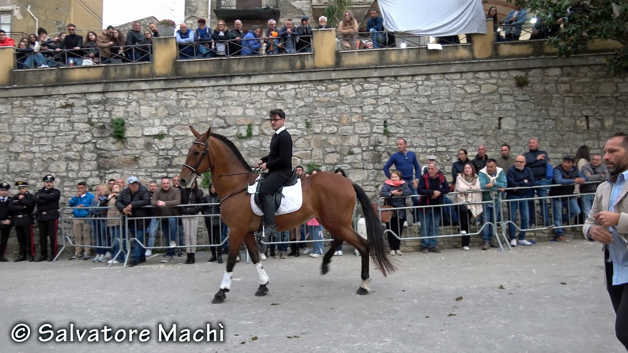 Vicari (PA) - Sfilata equestre - 2^ parte - 2025