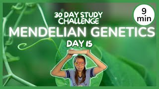 Day 15 Mendelian Genetics Basic - 30 Day Biology Study Challenge 2024