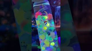 Abby Custom Trigger Video (No Talking)